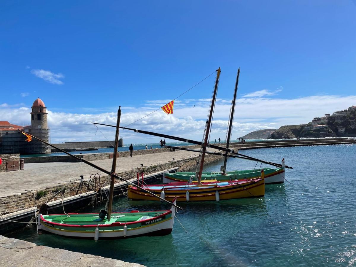 Studio Avec Parking, Terrasse Ensoleillee Et Tennis A Collioure - Fr-1-309-234アパートメント エクステリア 写真